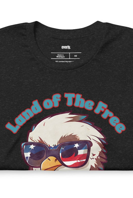 Graphic of a bird wearing sunglasses and a USA-themed scarf, with the text 'Land of the Free, Home of the Brave' on the front of a black graphic tee.