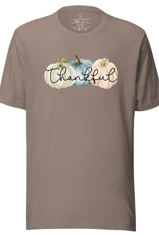 Express gratitude in style with our charming t-shirt. This design radiates autumn appreciation, featuring three pastel pumpkins and the word 'thankful' gracefully woven through the middle on a pebble colored shirt. 