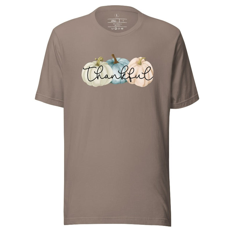 Express gratitude in style with our charming t-shirt. This design radiates autumn appreciation, featuring three pastel pumpkins and the word 'thankful' gracefully woven through the middle on a pebble colored shirt. 