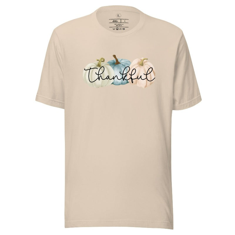 Express gratitude in style with our charming t-shirt. This design radiates autumn appreciation, featuring three pastel pumpkins and the word 'thankful' gracefully woven through the middle on a soft cream colored shirt. 