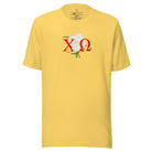 Show off your Chi Omega spirit with our stunning sorority t-shirt design! This shirt is designed with the sorority letters and a beautiful white carnation on a yellow shirt. 